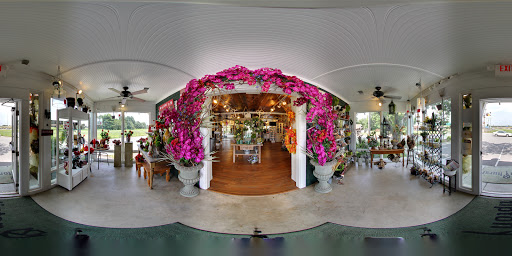 Florist «Tipton & Hurst - Conway», reviews and photos, 810 4th Ave, Conway, AR 72032, USA