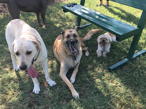 Dog Park «Freedom Dog Park», reviews and photos, 2675 Trophy Park Dr, Roanoke, TX 76262, USA