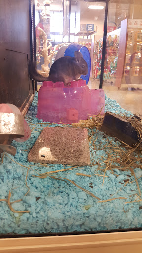Pet Supply Store «PetSmart», reviews and photos, 620 N West End Blvd, Quakertown, PA 18951, USA