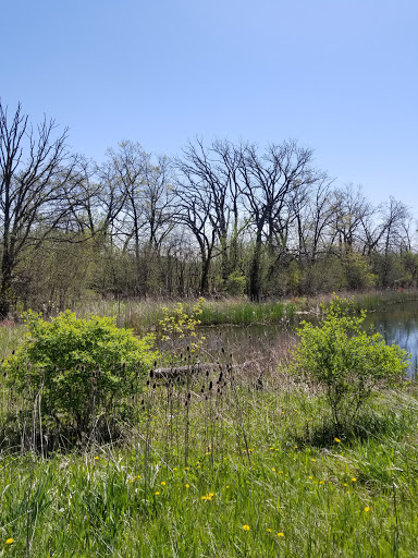 Movie Theater «Marcus Showtime Cinema», reviews and photos, 8910 S 102nd St, Franklin, WI 53132, USA