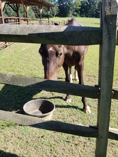 Event Venue «Dixie Dreams Special Events Venue», reviews and photos, 7188 Santa Claus Rd, Monroe, NC 28110, USA