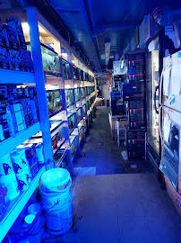 Tropical Lagoon Aquarium - Photo 6 - Car repair in Silver Spring, MD, Washington