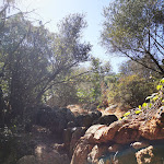 Photo n°29 de l'avis de giordano.i fait le 30/08/2020 à 12:30 sur le  Su Meriacru | Cucina Identitaria à Siniscola