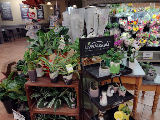 Supermarket «Big Y», reviews and photos, 700 S Main St #2, Great Barrington, MA 01230, USA