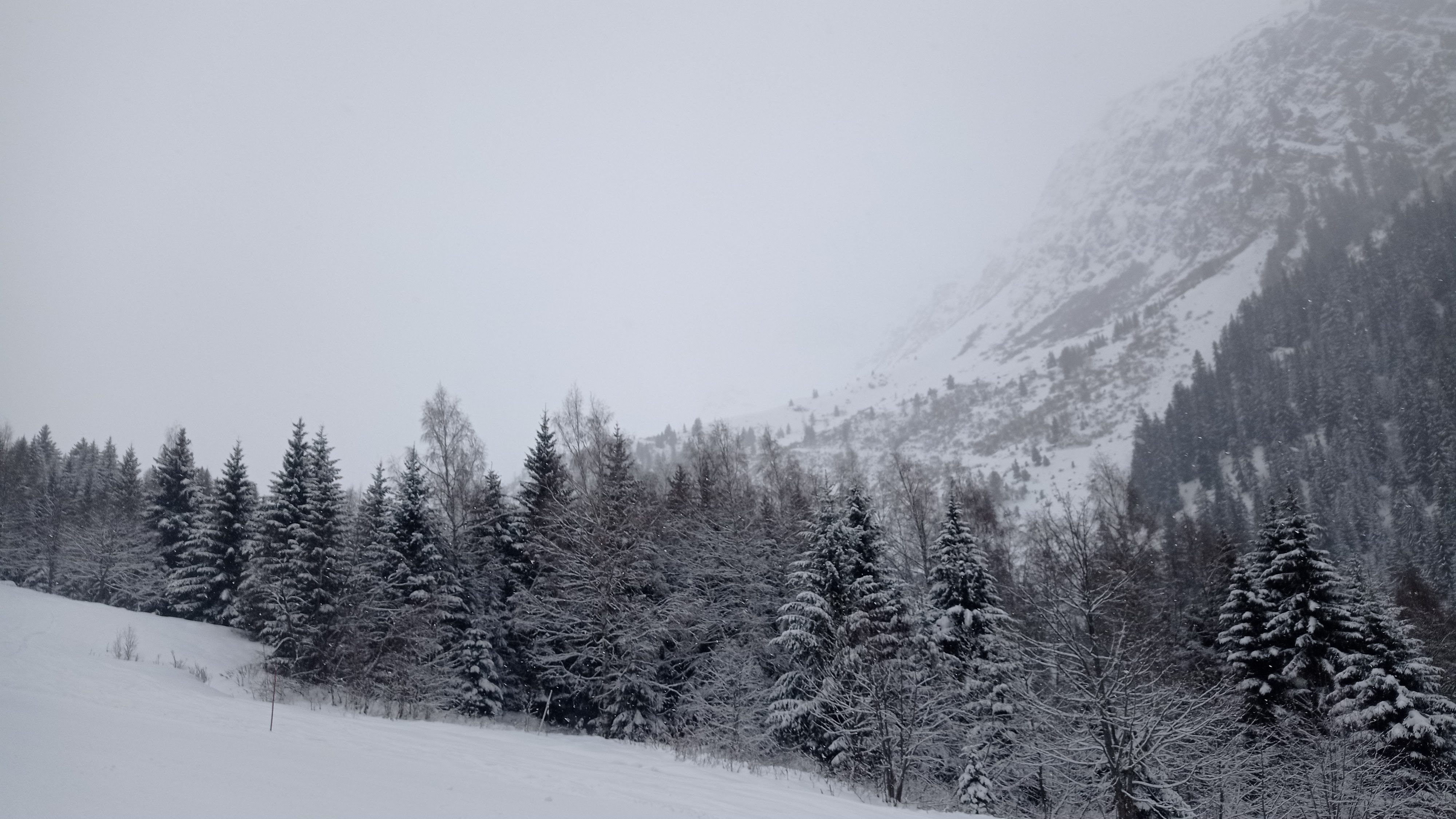 Photo n° 7 de l'avis de Emeric.i fait le 19/01/2023 à 15:44