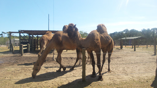 Zoo «Gulf Breeze Zoo», reviews and photos, 5701 Gulf Breeze Pkwy, Gulf Breeze, FL 32563, USA