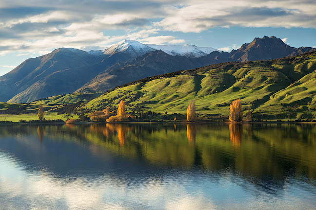 Meantime Solutions - Wanaka