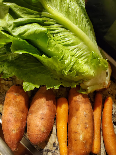 Garden Center «Chestnut Hill Flower & Garden», reviews and photos, 7639 Germantown Ave, Philadelphia, PA 19118, USA