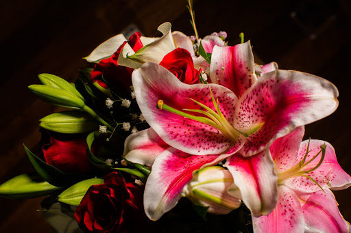 Florist «Enchanted Florist», reviews and photos, 2930 N Hayden Rd, Scottsdale, AZ 85251, USA