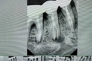 Malu Dental Clinic image