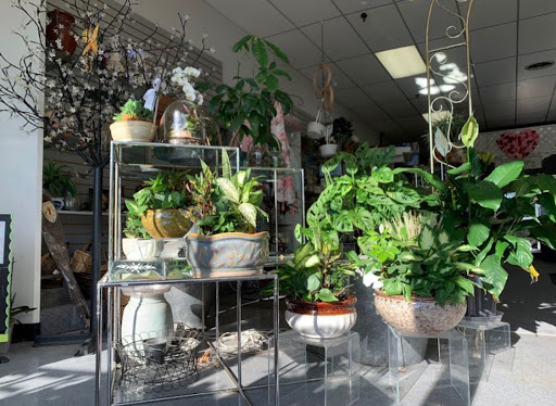 Florist «Forever Yours Flowers & Gifts», reviews and photos, 10 Welcher Ave, Peekskill, NY 10566, USA