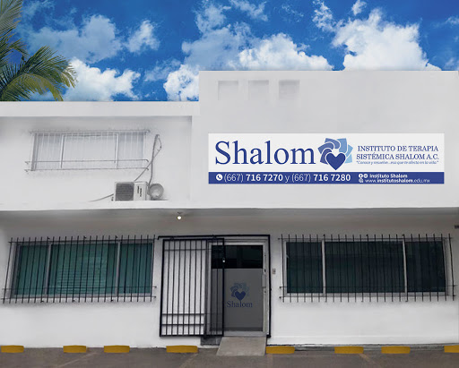 Instituto de Terapia Sistémica Shalom