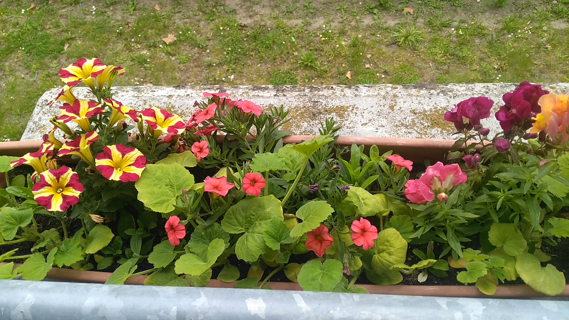 Photo n° 1 de l'avis de severine.o fait le 27/05/2019 à 12:21
