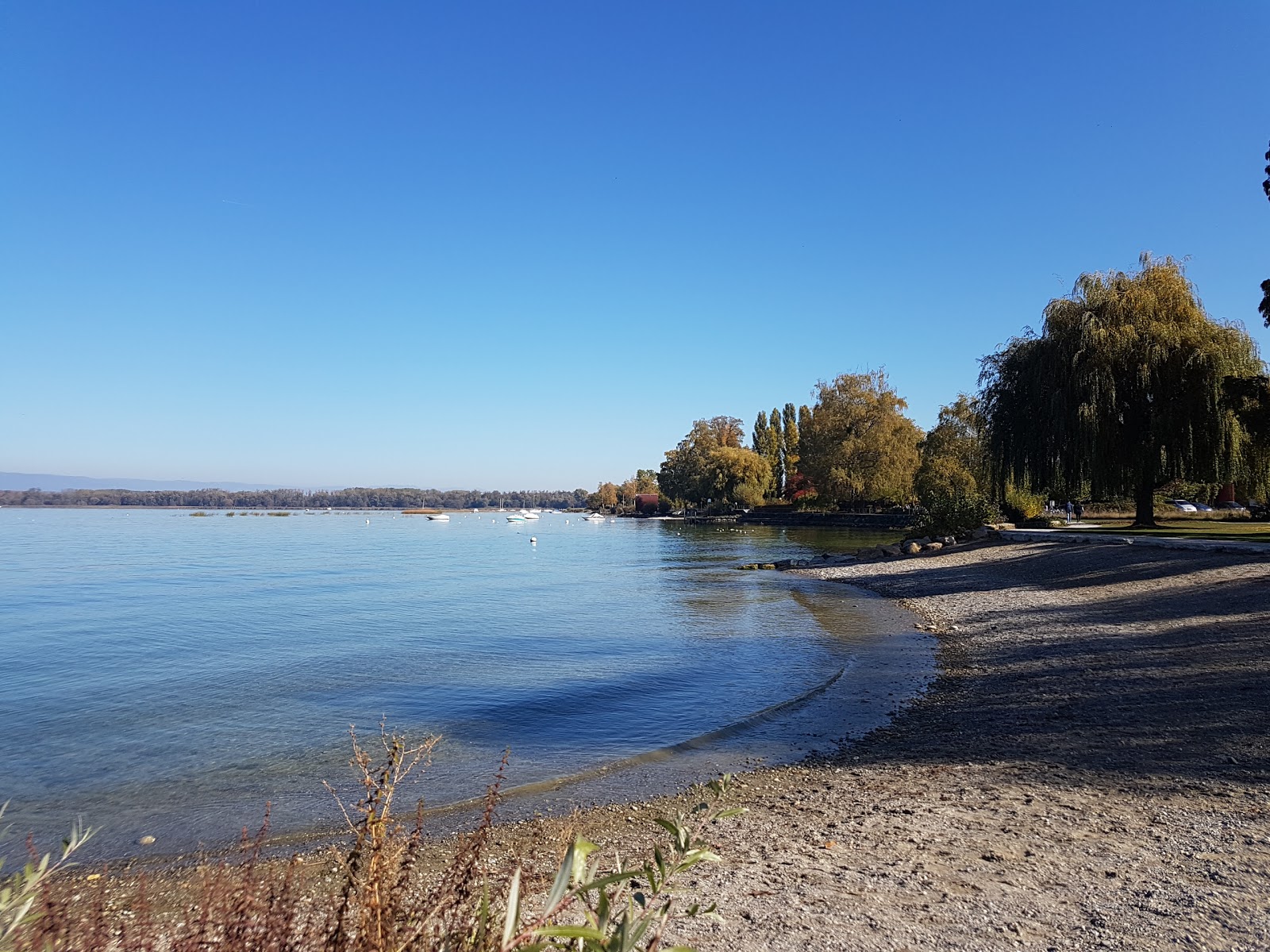 Fotografija Cote plage in naselje