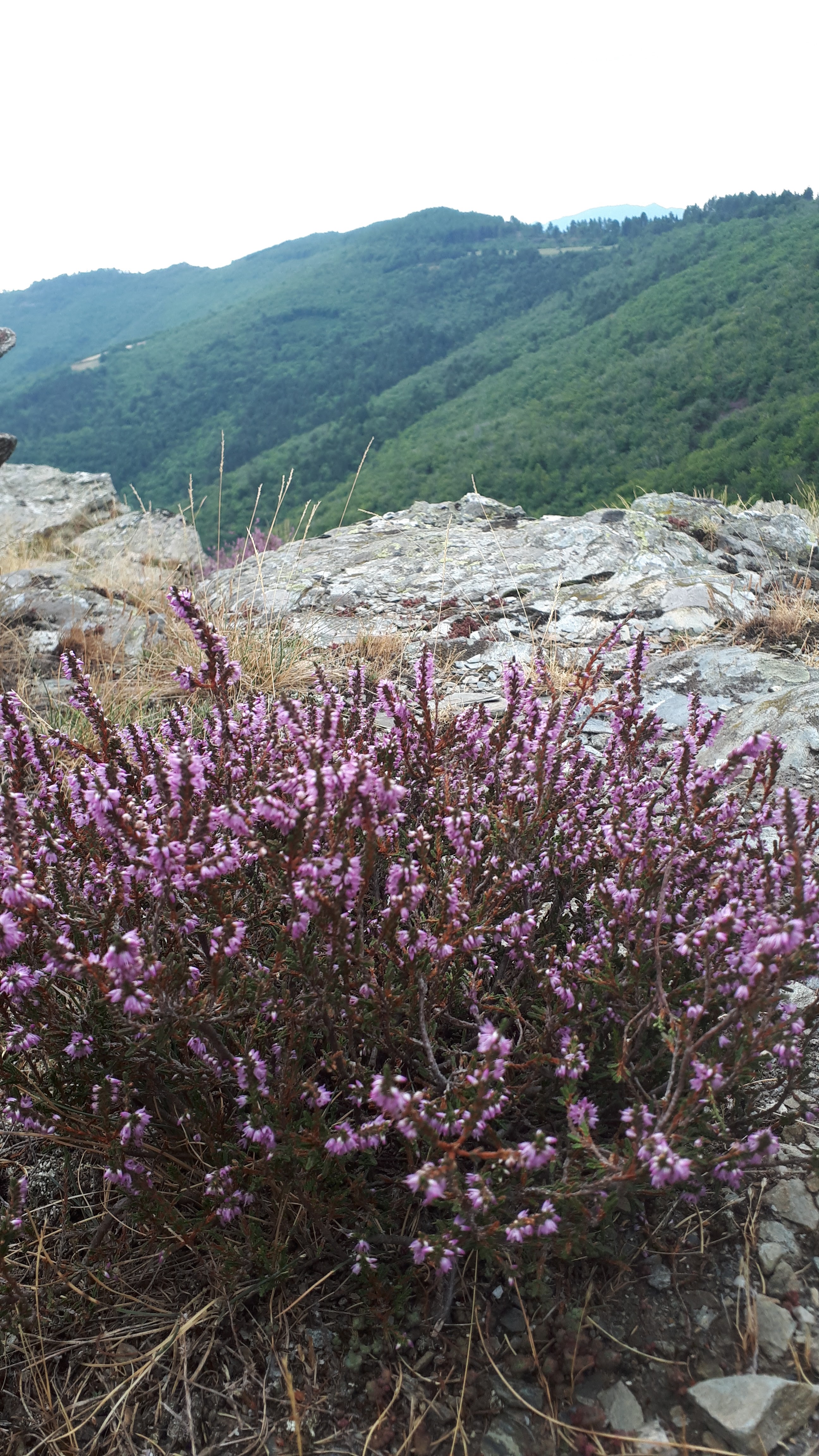 Photo n° 1 de l'avis de Ivon.a fait le 02/09/2019 à 07:18