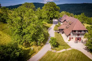 Hotel Hofgut Hohenkarpfen image