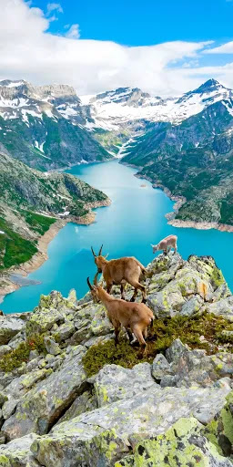 Art Museum «Isabella Stewart Gardner Museum», reviews and photos, 25 Evans Way, Boston, MA 02115, USA