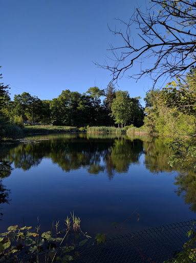 Non-Profit Organization «Jewish Community Center», reviews and photos, 1035 Newfield Ave, Stamford, CT 06905, USA