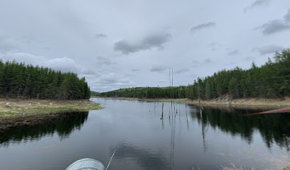 Chapleau Crown Game Preserve