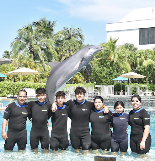 Tour Agency «Miami Swim With Dolphin Tours», reviews and photos, 247 SW 8th St, Miami, FL 33130, USA