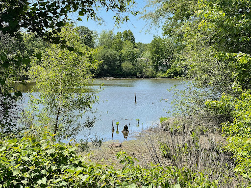 North Mount loretto State Forest parking area