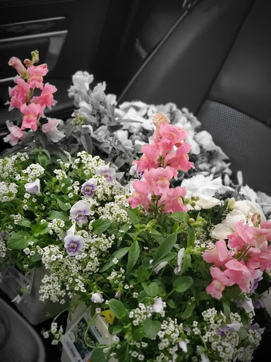 Home Improvement Store «The Home Depot», reviews and photos, 11071 W National Ave, West Allis, WI 53227, USA