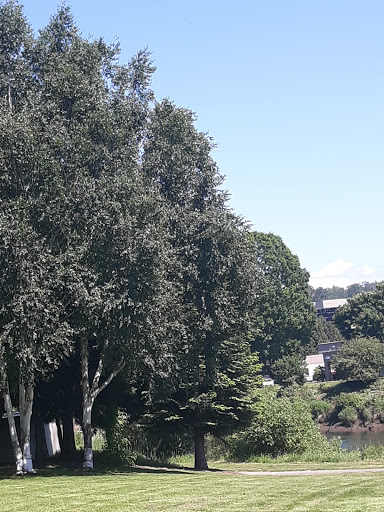 Recreation Center «Tukwila Community Center», reviews and photos, 12424 42nd Ave S, Tukwila, WA 98168, USA