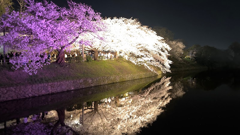 福岡城さくらまつり