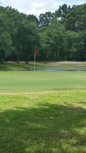 Golf Course «Freedom Fairways Golf Course & Tennis Club», reviews and photos, 3932 Upper Creek Dr, Sun City Center, FL 33573, USA