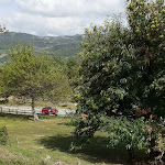 Photo n°4 de l'avis de Mafalda.3 fait le 17/09/2023 à 17:10 sur le  Il Bacher in fiore S.r.l.s. à Berceto