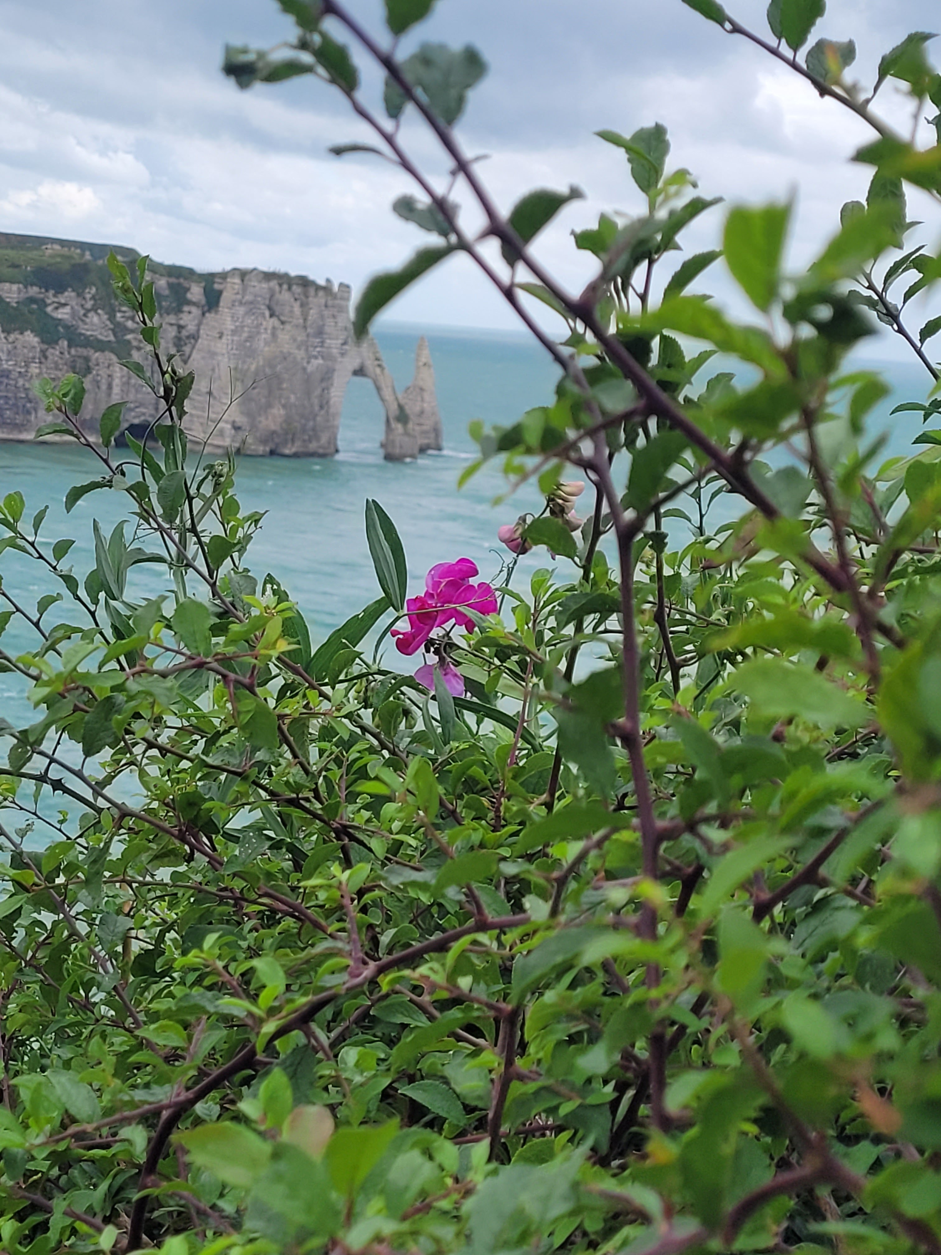 Photo n° 6 de l'avis de Domi. fait le 21/09/2023 à 15:48
