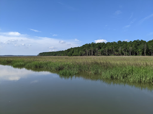 National Forest «Francis Marion National Forest», reviews and photos, 2967 Steed Creek Rd, Huger, SC 29450, USA