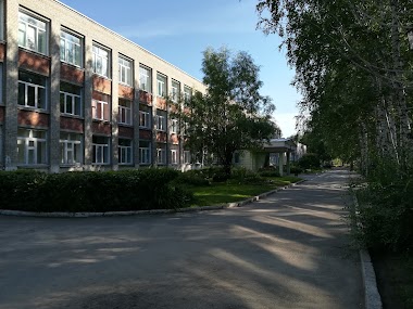 Лицей № 81