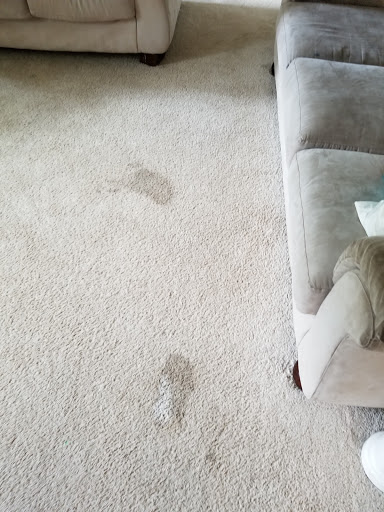 Bermon Carpet Cleaning