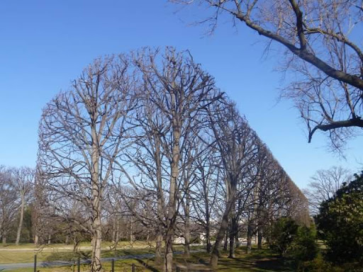Monument «The Tomb of the Unknowns», reviews and photos, 1 Memorial Ave, Fort Myer, VA 22211, USA