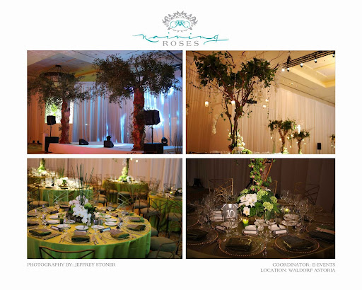 Florist «Raining Roses Productions», reviews and photos, 3506 St Valentine Way #4, Orlando, FL 32811, USA