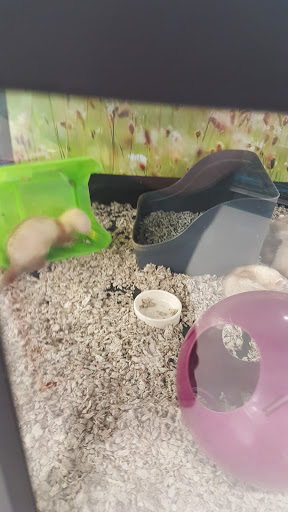 Pet Supply Store «Petco Animal Supplies», reviews and photos, 473 State Rd, North Dartmouth, MA 02747, USA