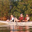 Fin Expeditions Kayak Tours