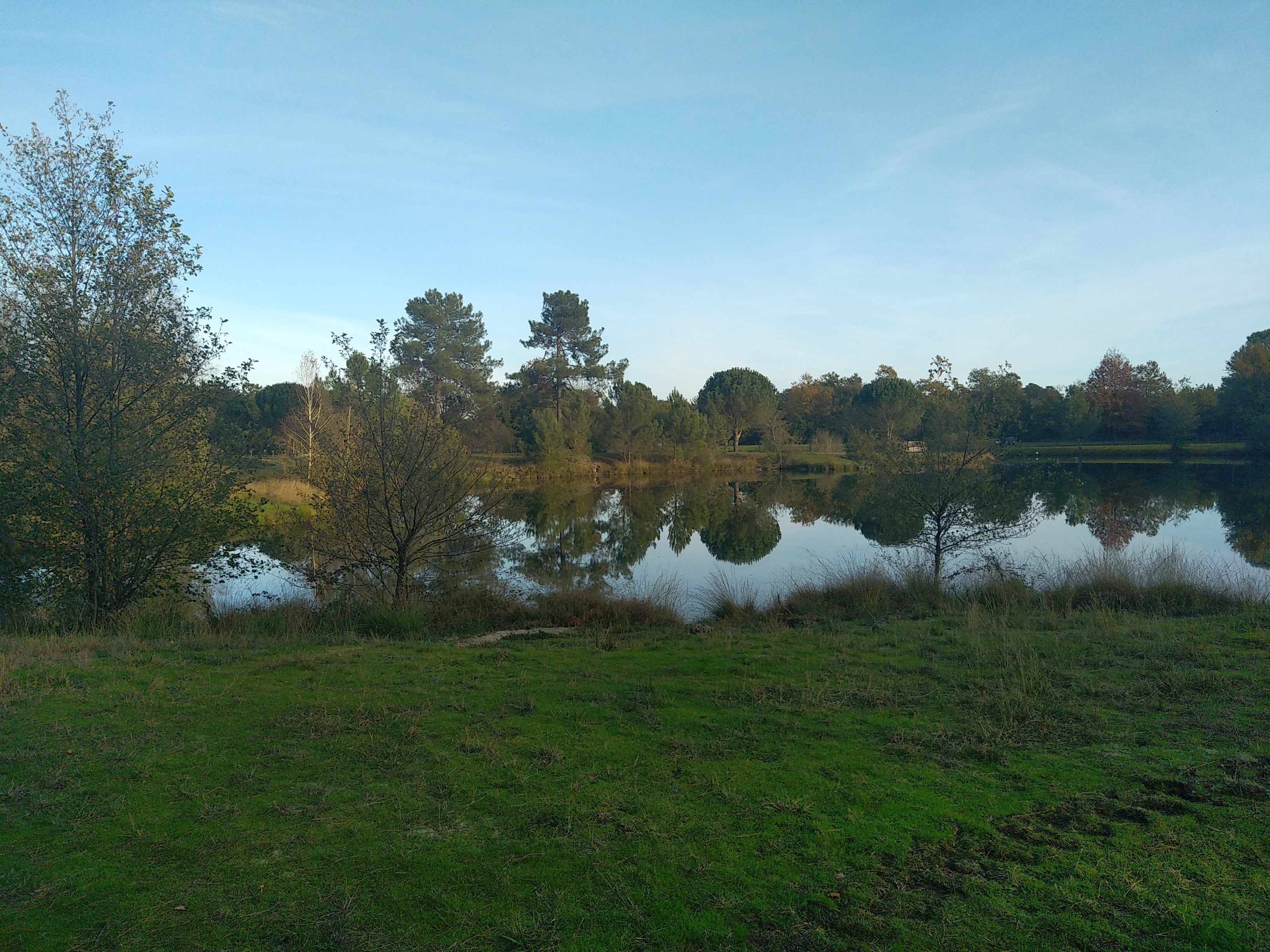 Photo n° 1 de l'avis de Fred.a fait le 18/11/2020 à 15:38