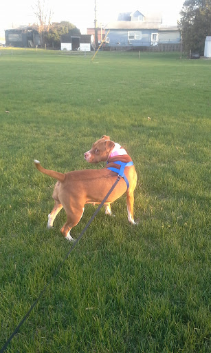 Golf Course «Round Barn Golf Club», reviews and photos, 1024 Lakeview Dr, Rochester, IN 46975, USA