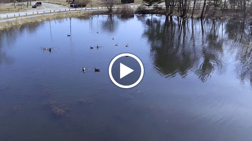 Park «George M. Muldoon Park», reviews and photos, 304 Mammoth Rd, Pelham, NH 03076, USA