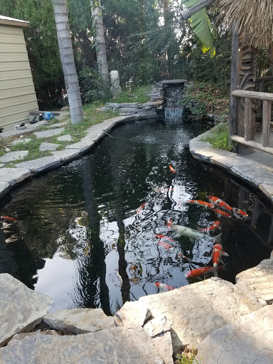 Mystic Koi & Water Gardens