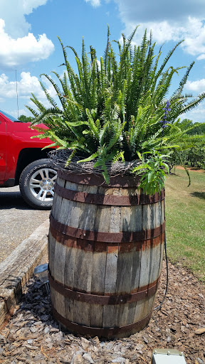 Vineyard «Morgan Creek Vineyards», reviews and photos, 181 Morgan Creek Ln, Harpersville, AL 35078, USA