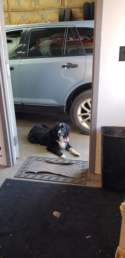 Car Inspection Station «Mc Curdy & Son», reviews and photos, 964 Pottstown Pike, Chester Springs, PA 19425, USA