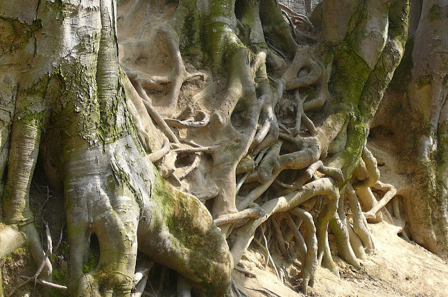 Római-Fürdő Apartmanház - Bakonynána