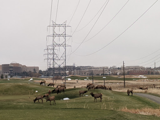 Golf Course «Applewood Golf Course», reviews and photos, 14001 W 32nd Ave, Golden, CO 80401, USA