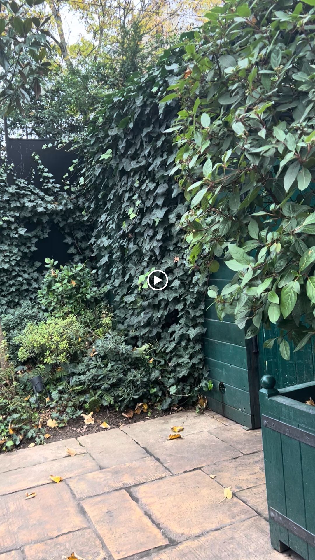 Photo n° 1 de l'avis de Celine. fait le 13/10/2023 à 06:53
