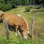 Photo n°6 de l'avis de Isabella.a fait le 20/08/2019 à 08:59 sur le  Mair in Plun Hütte à Villanders