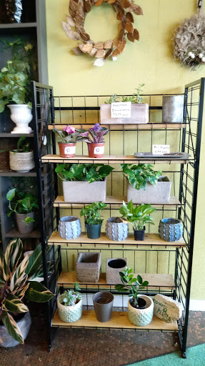 Florist «Flowers & Plants Etc», reviews and photos, 1378 Chain Bridge Rd, McLean, VA 22101, USA