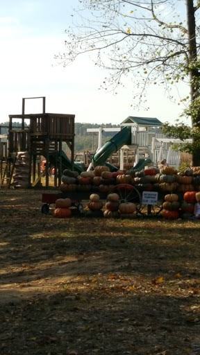 Miniature Golf Course «Christian Way Farm & Mini Golf», reviews and photos, 19590 Linville Rd, Hopkinsville, KY 42240, USA